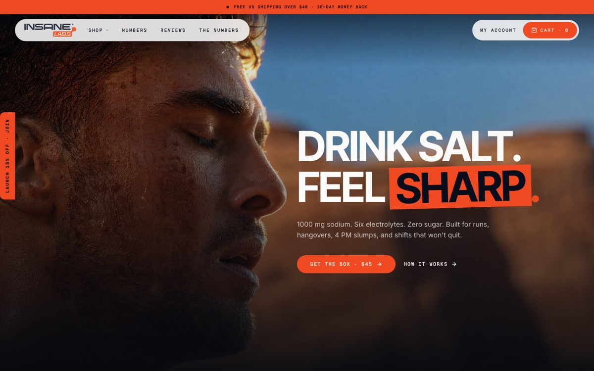 Insane Labs: website screenshot